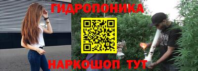 таблы Новозыбков