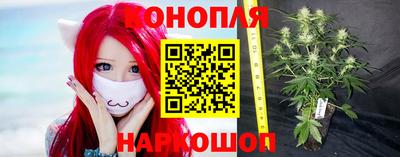 трава Новокубанск