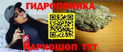mdma Новодвинск