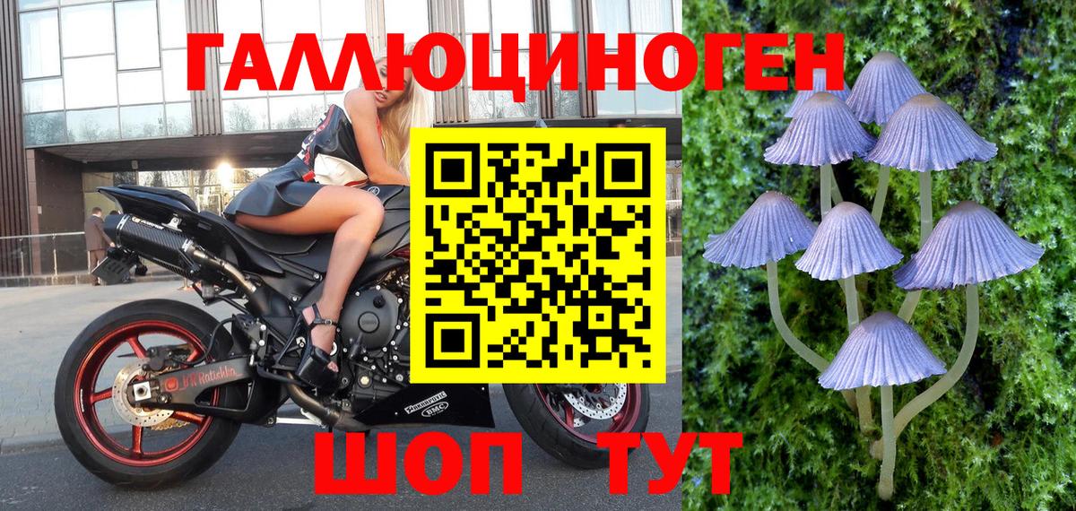 магазин  наркотиков  Галлюциногенные грибы Psilocybine cubensis  Вход с VPN  Белгород 